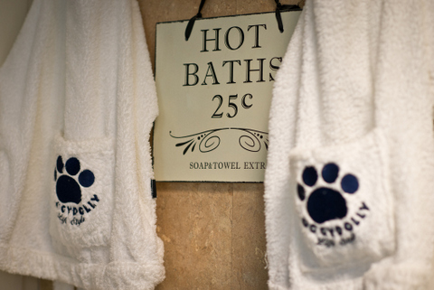images/timelinephotos/Open-Dog-Spa.jpg